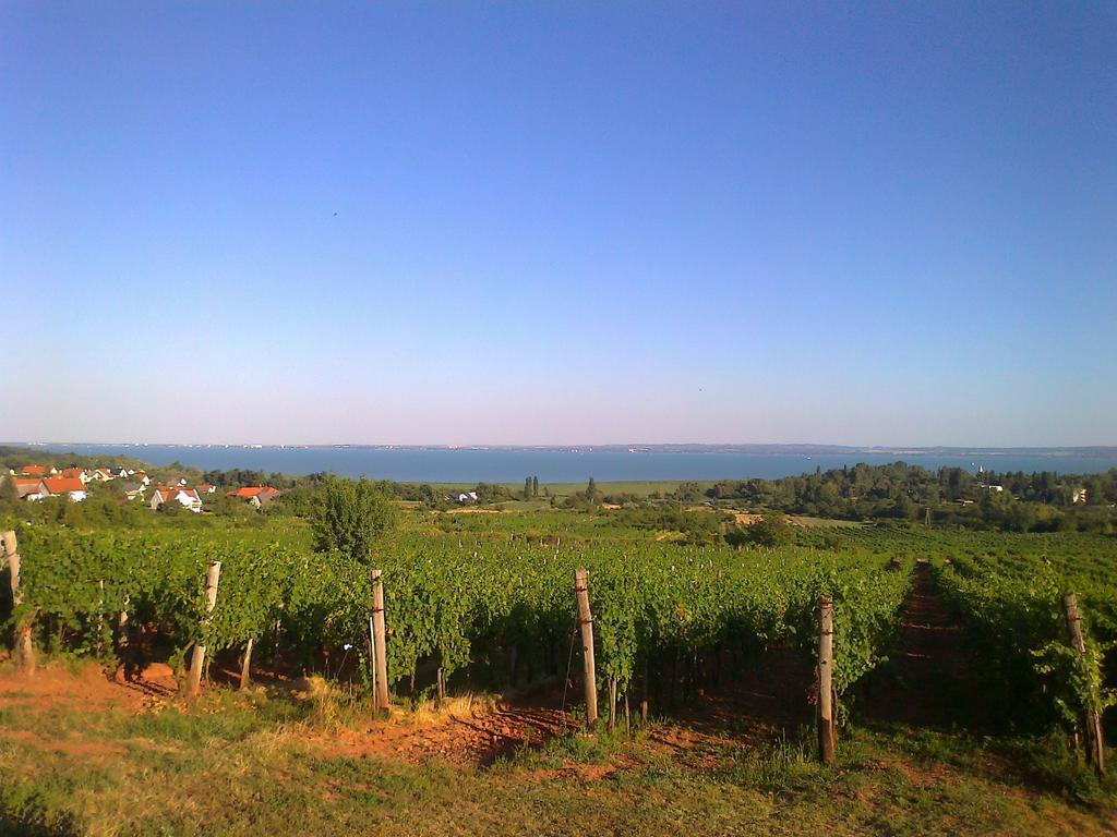 Country House Balaton Paloznak Exterior foto