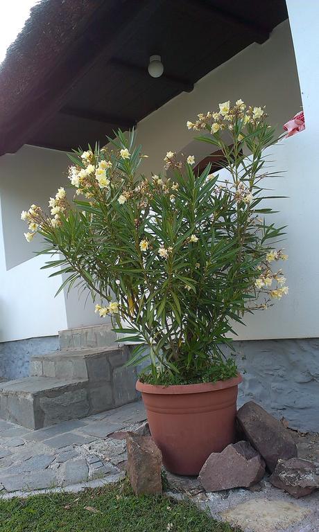 Country House Balaton Paloznak Exterior foto